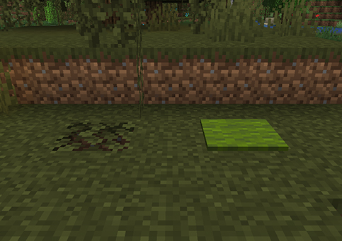 沼地の緑のカーペットと葉ブロックによる隠し光源