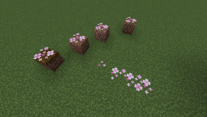 桜色の花びら