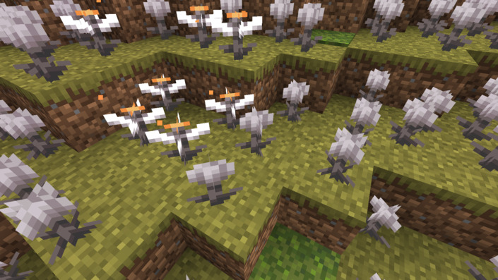 ２種類のヒトミソウ