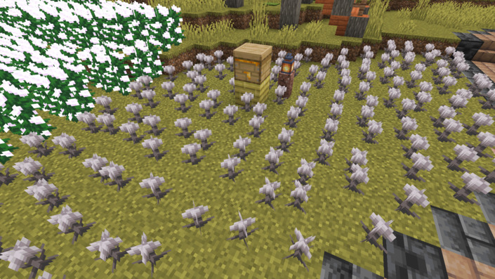 養蜂箱とヒトミソウ