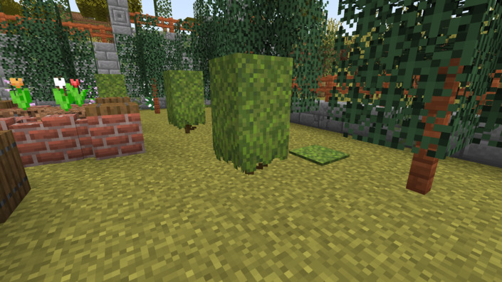 苔とツツジで作った植木