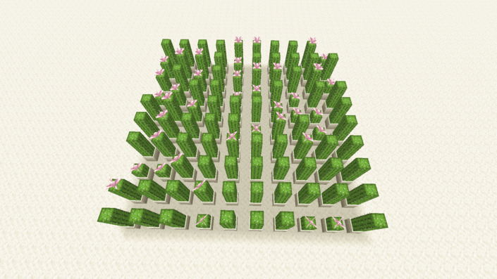 サボテンの花の成長実験