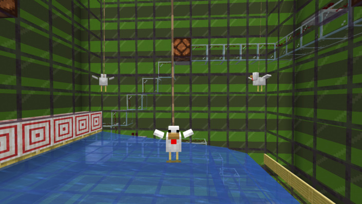 トラップに吊るしたニワトリ